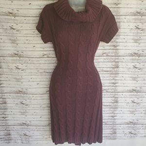Turtle Neck Dress
